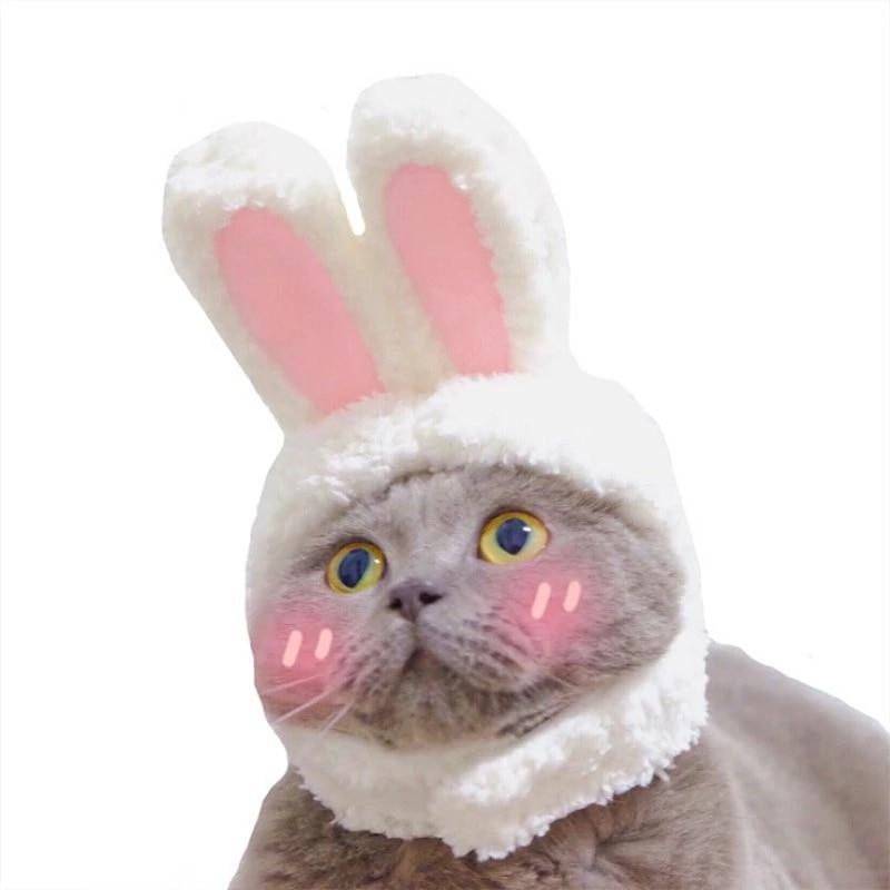 RabbitHat™ - Accessoire de déguisement pour chat - lilith